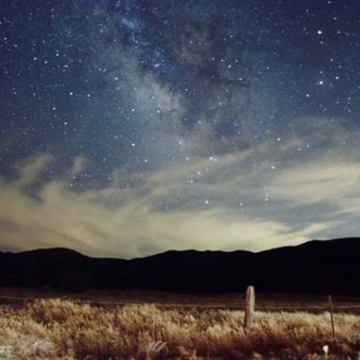 利发app手机登陆·官方网站截图